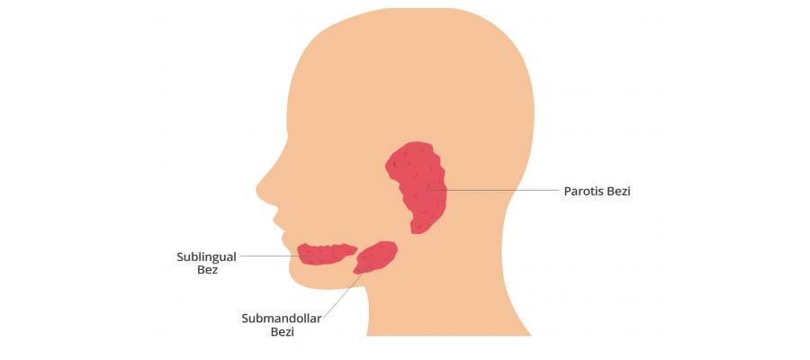 Dengeli bir diyet pankreasın amilaz, lipaz ve proteaz gibi sindirim enzimlerini verimli bir şekilde üretmesine yardımcı olur.