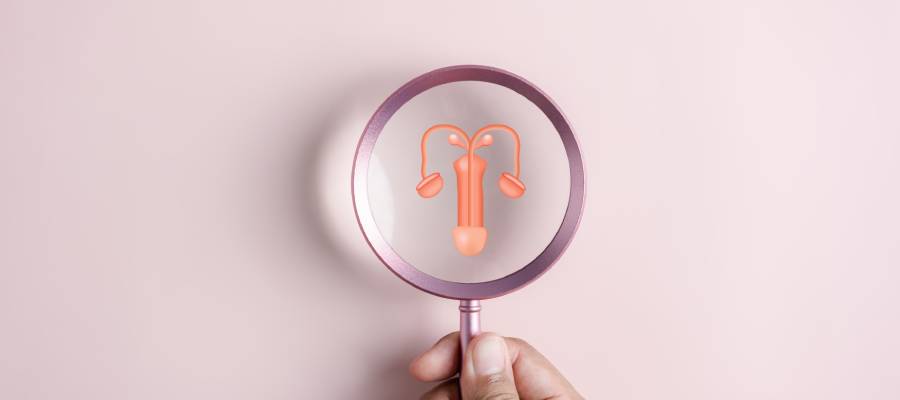 Doğum sonrası fiziksel muayene ve ek anomalilerin araştırılması sonucunda hipospadias durumu teşhis edilebilir.