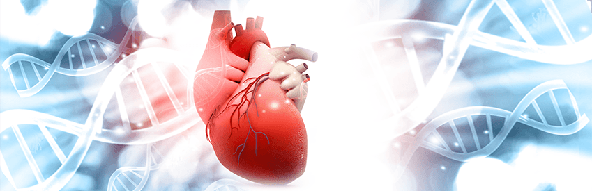 çocuk sağlığı hakkında kalpten kan akışı kalp sağlığı raporu doğru