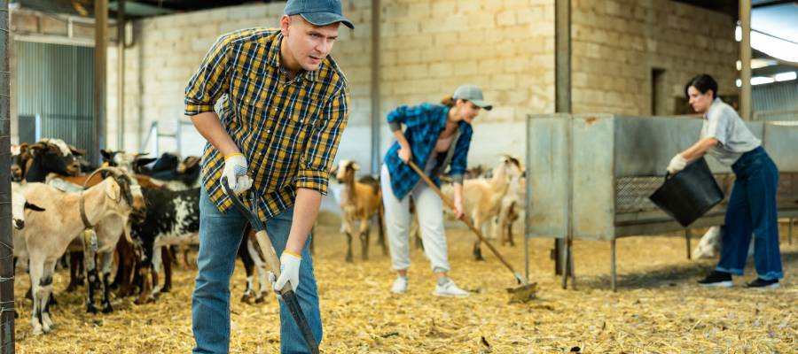 Leptopsiroz zoonotik hastalıklar arasında bulunur ve çiftçilik, hayvancılık gibi işlerde özen gösterilmesi gerekir.
