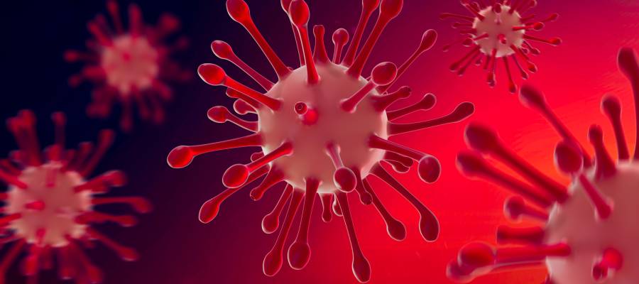 Makrofajlar hem viral hem bakteriyel enfeksiyonlara karşı savunmayı güçlendirir.