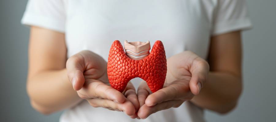 Tiroid nodülü başta olmak üzere çok sayıda nodül çeşidi bulunur.