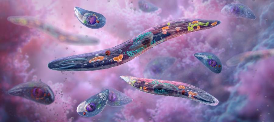 Mikroskop altında Plasmodium parazitlerinin sanatsal temsili; sıtma hastalığına neden olan ve insan kan hücrelerine saldıran parazitler mor-pembe arka planda üç boyutlu olarak gösterilmiş.