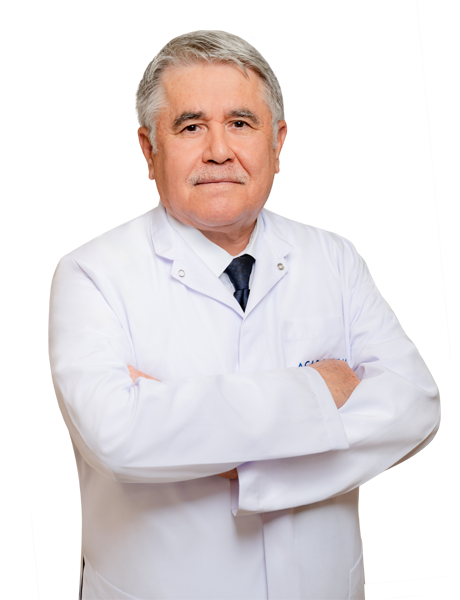 Profesör Doktor İSMET AYDOĞDU