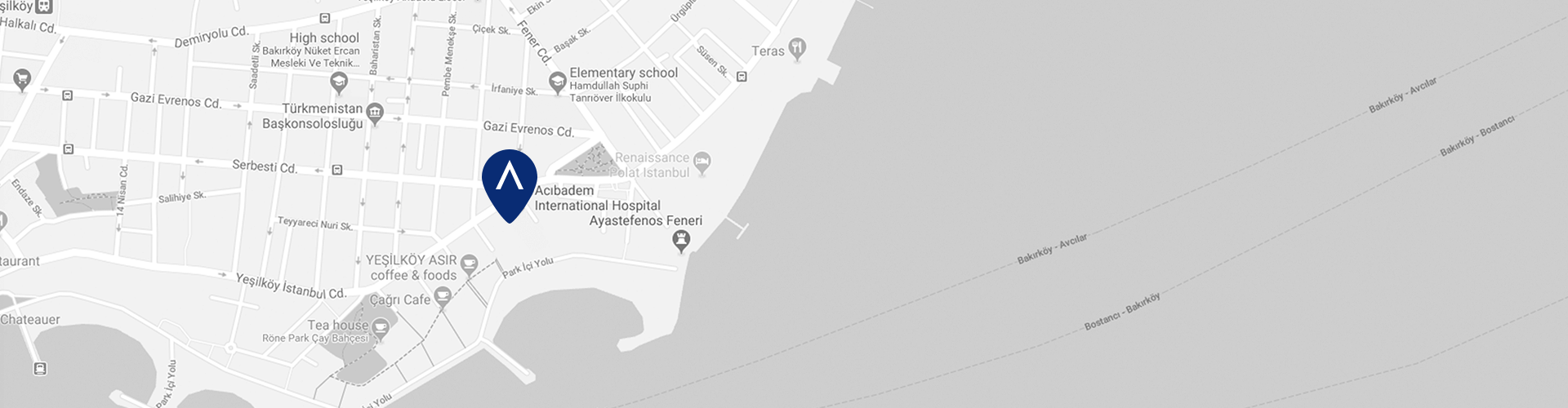 acibadem-international-hastanesi-google-maps-image.png