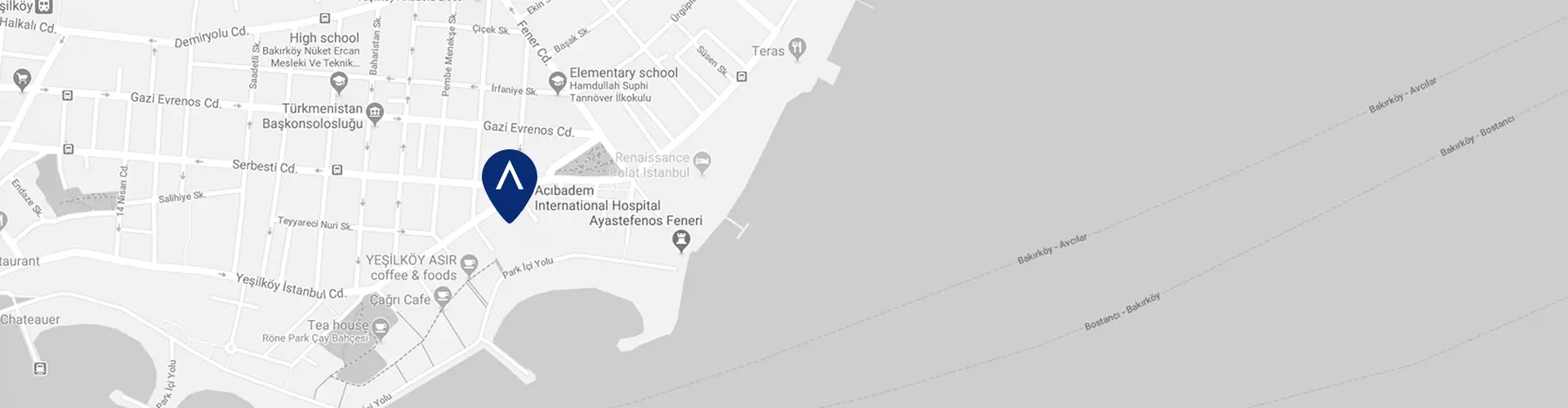 acibadem-international-hastanesi-google-maps-image.webp