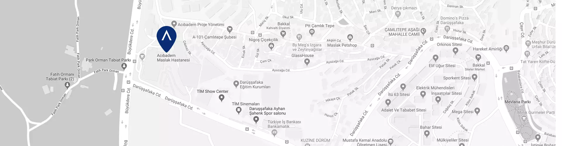 acibadem-maslak-hastanesi-google-maps-image.webp