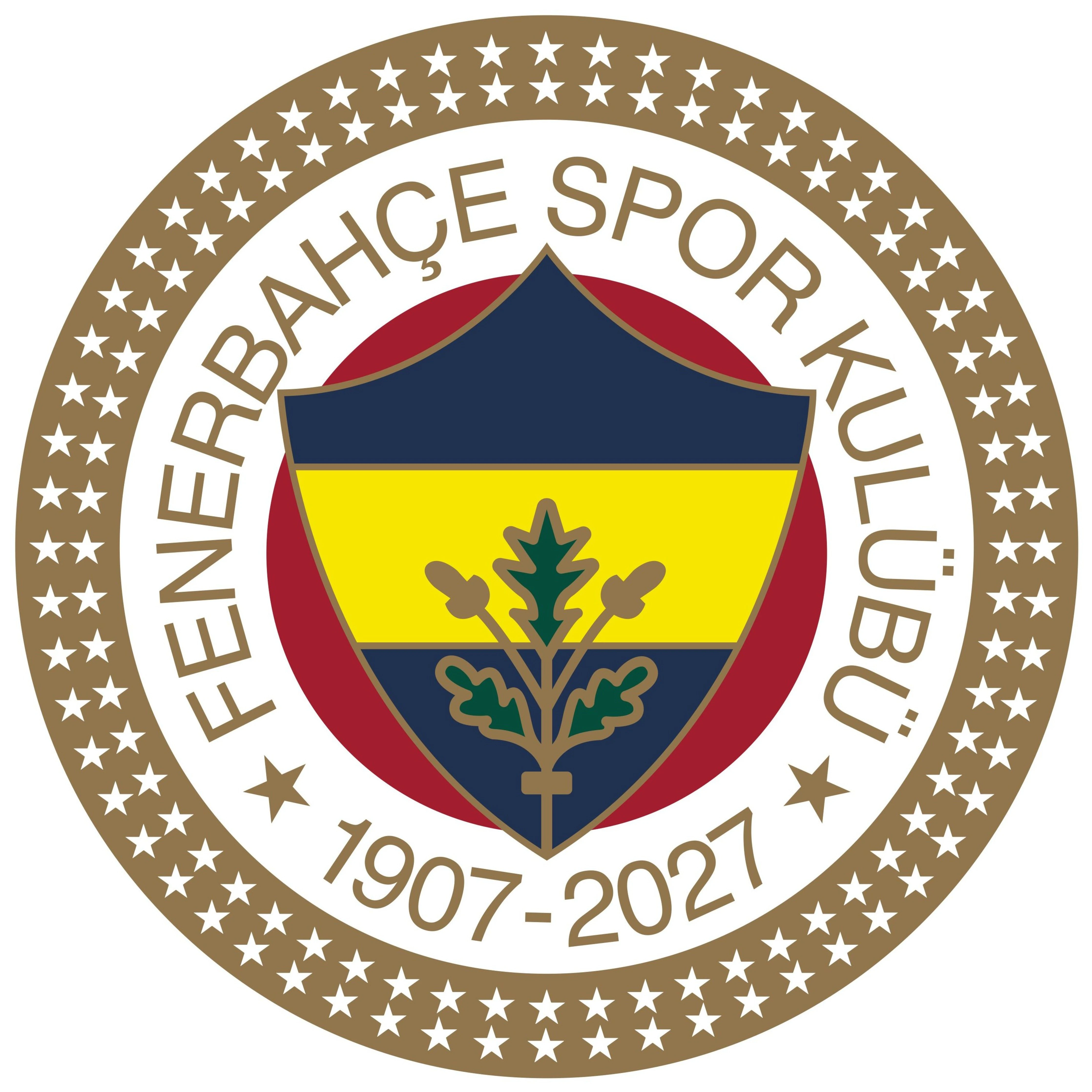 Fenerbahçe Futbol Takımı Forma Sponsoru