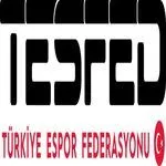 Türkiye Espor Federasyonu