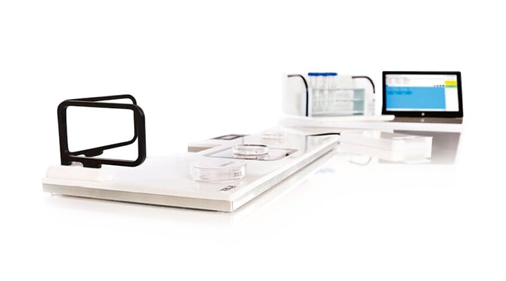 RI Witness (Şahitlik) Sistemi