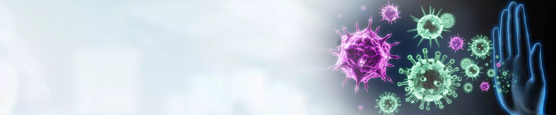 Bağışıklık Sistemi Koronavirüs ile Nasıl Mücadele Eder?