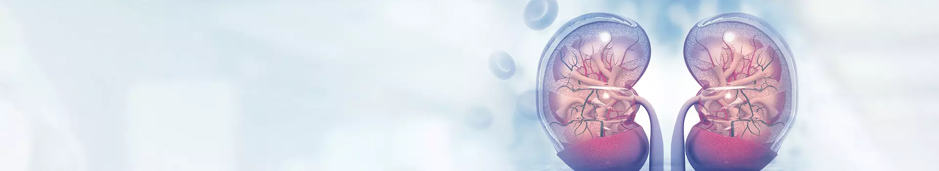 Böbrek Kanseri Nedir? Belirtileri ve Tedavi Yöntemleri