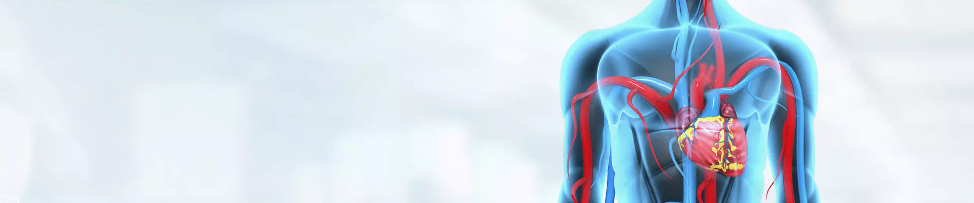 Kalp Kası Hastalıkları