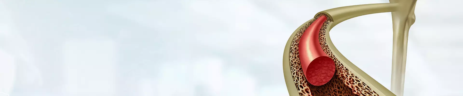 Kemik İliği Hastalıkları Nelerdir? Kemik İliği Hastalıkları Belirtileri