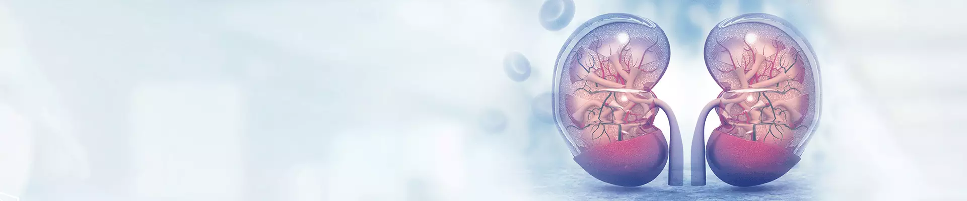 Tek Giriş Donör Nefrektomi Nedir? Tek Giriş Donör Nefrektomi Nasıl Yapılır?