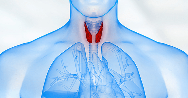 tiroid hastaliklari ve tiroid nodulleri belirtileri tanisi acibadem