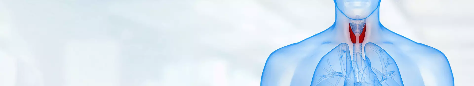 Tiroid Hastalıkları ve Tedavisi