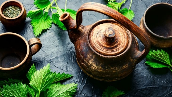 ısırgan otunun faydaları