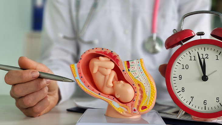 13 haftalık gebelik kaç aylık