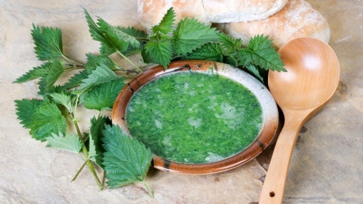 ısırgan otu faydaları