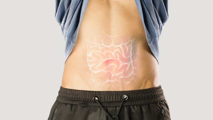 Whipple hastalığı sindirim sistemi başta olmak üzere eklem, kalp, beyin, göz ve lenf düğümleri gibi sistemleri etkileyebilir.