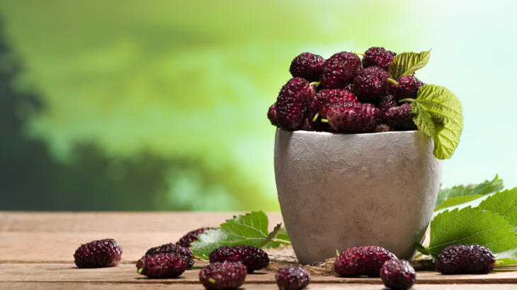 Karadut şurubu vitamin ve mineraller açısından zengindir.