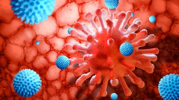 Her immünoglobulin türü, bağışıklık sisteminde kendine özgü rol üstlenerek vücudu farklı tehditlere karşı hazır tutar.