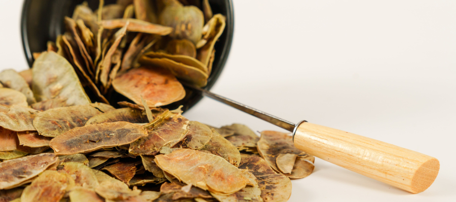 açlık otu ne işe yarar