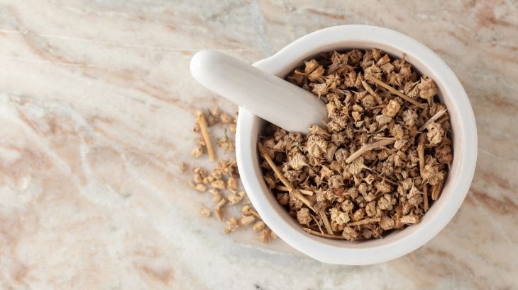 çoban çökerten otu