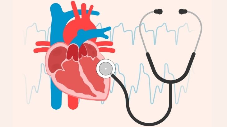 Mitral kapak tamiri nasıl yapılır?