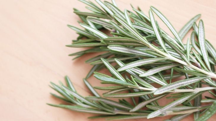 biberiye çayının faydaları