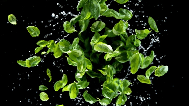 reyhan şerbeti tarifi