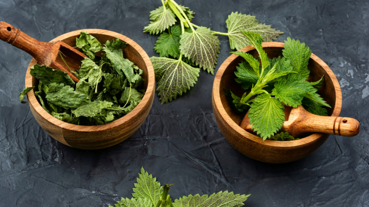 ısırgan otu çayı