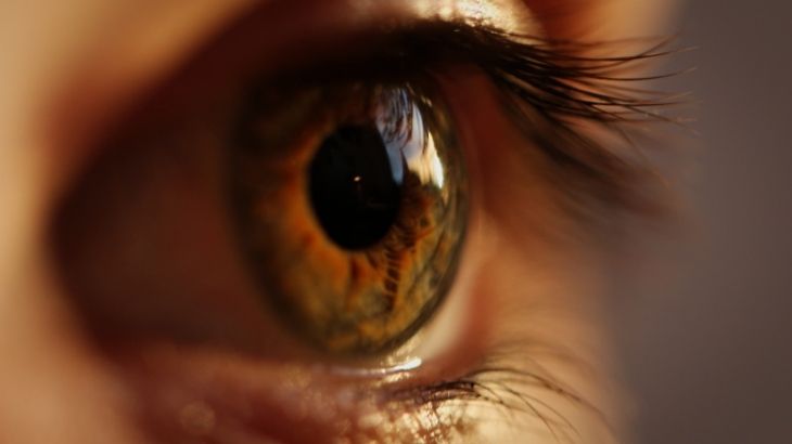 Trahomun teşhisi, bir sağlık personelinin yapacağı detaylı göz muayenesine dayanır.