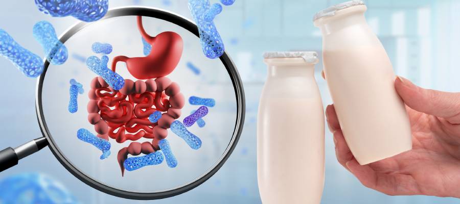 Düzenli prebiyotik alımı, bağışıklığın güçlenmesi ve sindirim sisteminin sağlıklı işleyişi üzerinde olumlu etkiler yaratır.