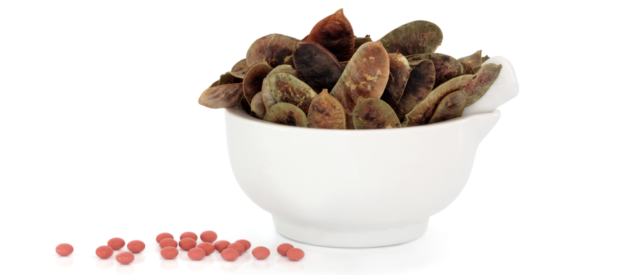 açlık otu nasıl kullanılır