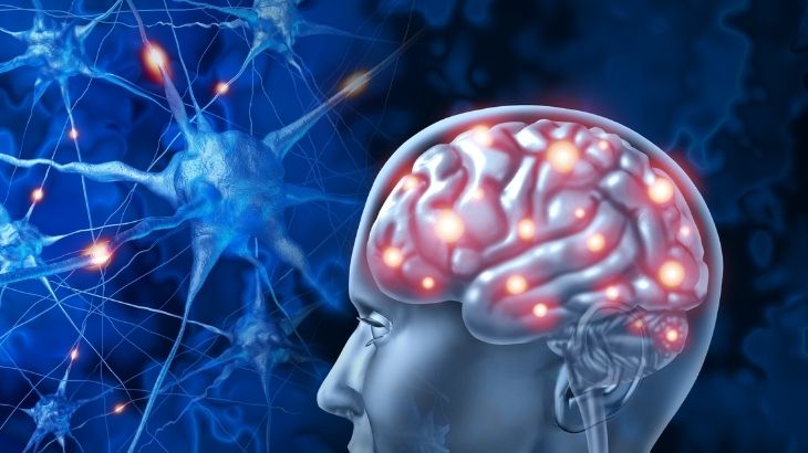 nöroplastisite nedir