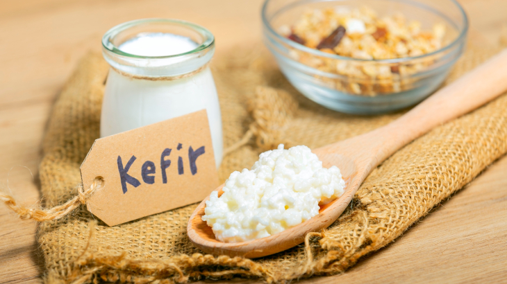 kefir mayalama