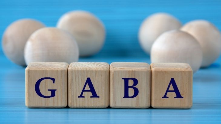 gaba nedir?