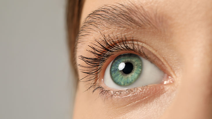 Bu işlemde riboflavin damlaları ve UV-A ışığı kullanılarak korneadaki lifler arasında yeni bağlar oluşturulur.