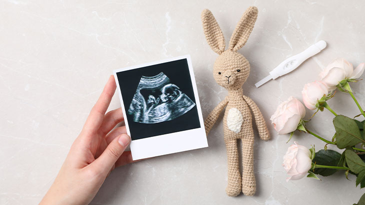 14 haftalık gebelik