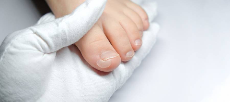 Ayakta oluşmuş su toplaması (bül), beyaz eldivenli bir el tarafından nazikçe inceleniyor