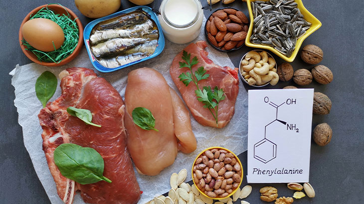 fenilalanin nedir