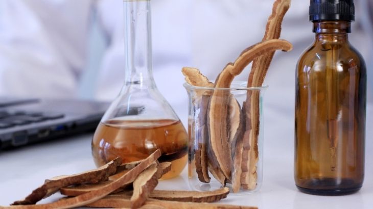 reishi mantarı faydaları