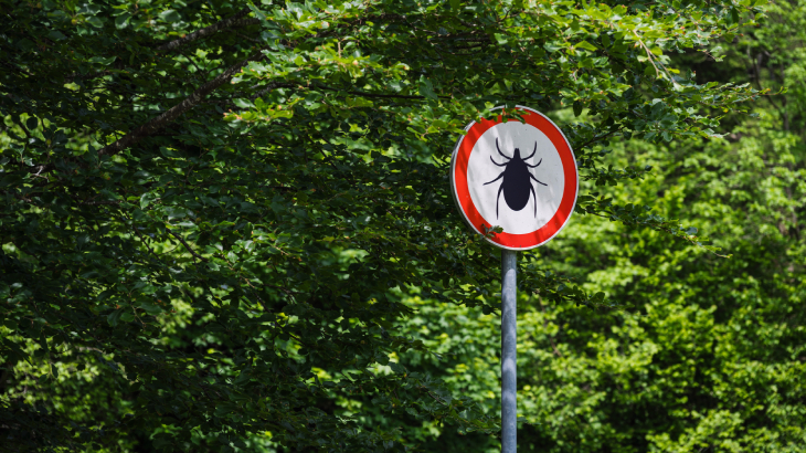 kırım kongo kanamalı ateşi