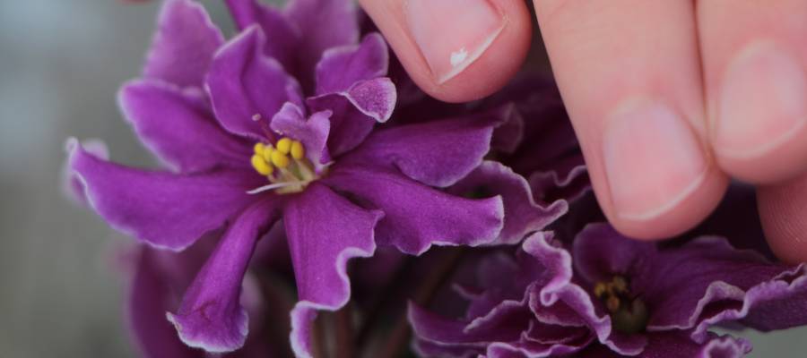 Tırnakta görülen beyaz lekelerin sebebinin tespiti için çeşitli testler yapılabilir.