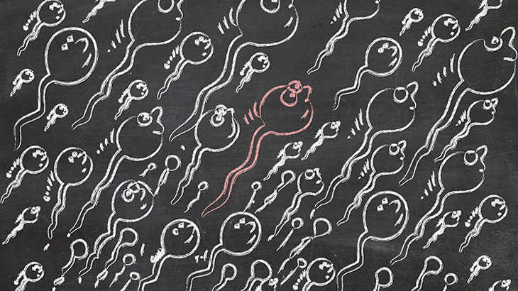 Sperm Sayısını ve Kalitesini Artıracak Besinler