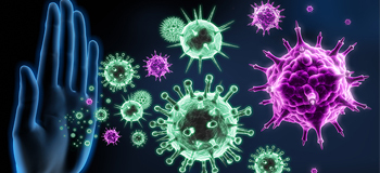 Virüse karşı bağışıklık sistemi nasıl çalışır?