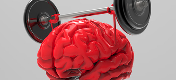 Hafıza kaybı neden olur?