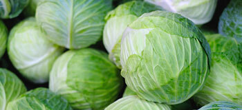 Beyaz Lahananın 7 Yararı